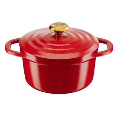 Tefal Air Cast Aluminum Stew Pot 20Cm طنجرة